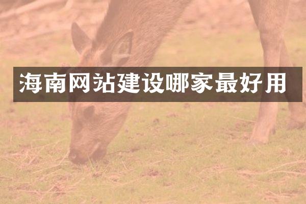 海南网站建设哪家最好用