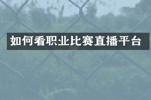如何看职业比赛直播平台