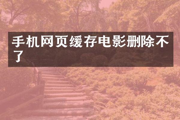 手机网页缓存电影删除不了