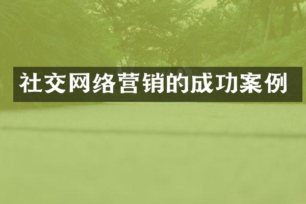社交网络营销的成功案例