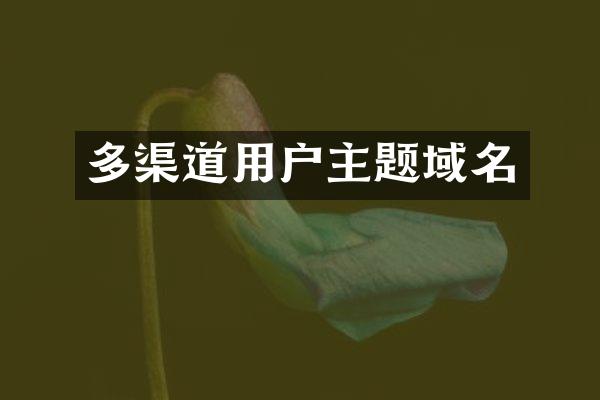 多渠道用户主题域名