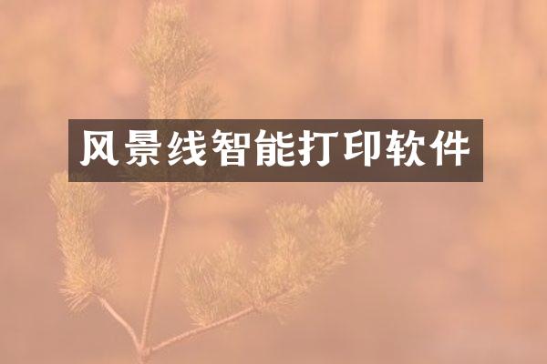 风景线智能打印软件