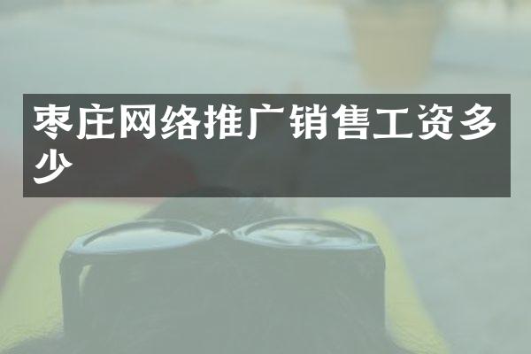 枣庄网络推广销售工资多少