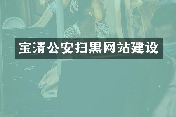宝清公安扫黑网站建设