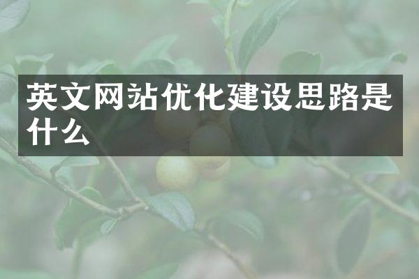 英文网站优化建设思路是什么