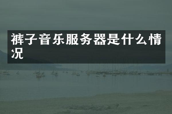 裤子音乐服务器是什么情况