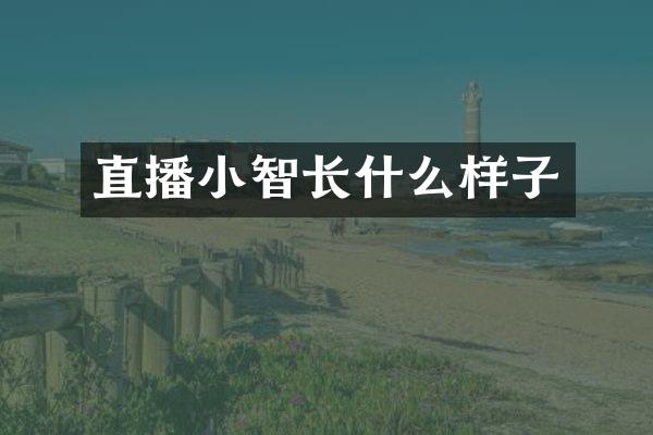 直播小智长什么样子