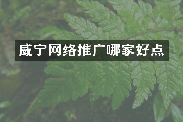 威宁网络推广哪家好点