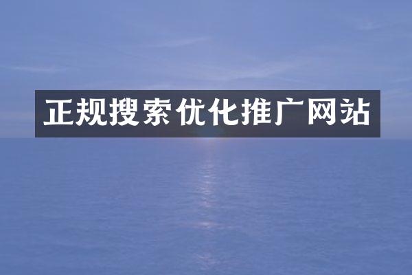 正规搜索优化推广网站