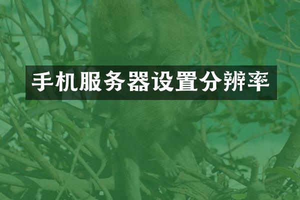 手机服务器设置分辨率