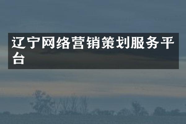 辽宁网络营销策划服务平台