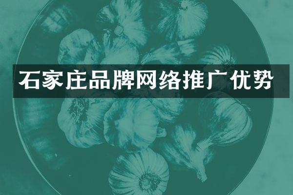 石家庄品牌网络推广优势