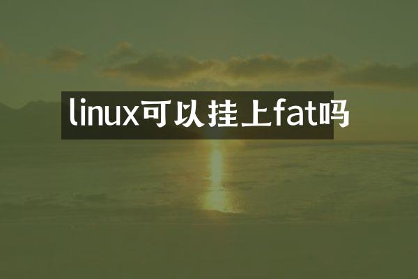 linux可以挂上fat吗