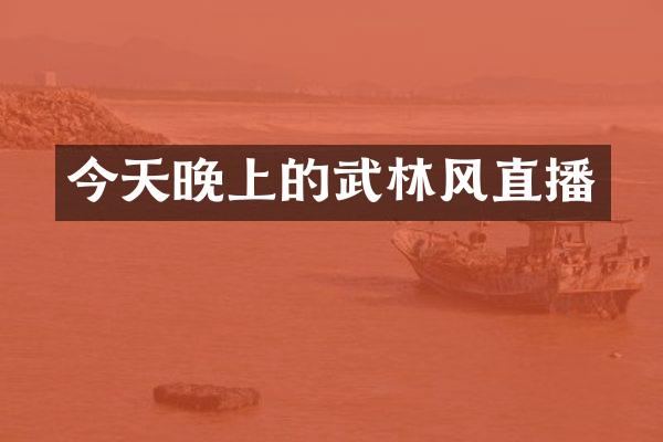 今天晚上的武林风直播