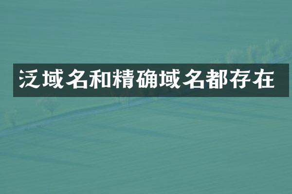 泛域名和精确域名都存在