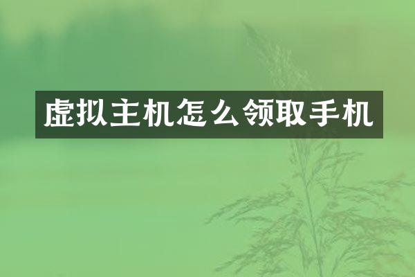 虚拟主机怎么领取手机