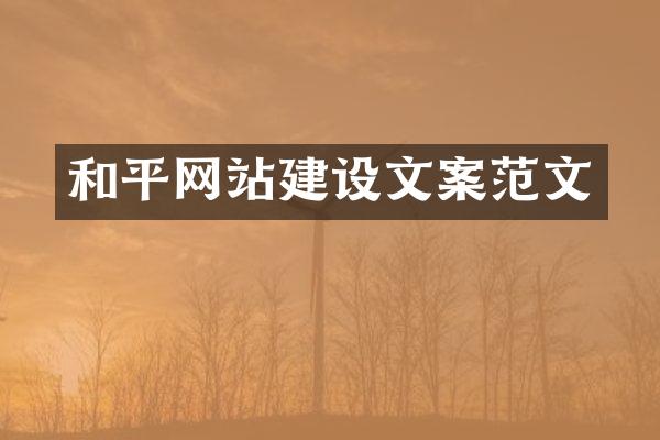 和平网站建设文案范文