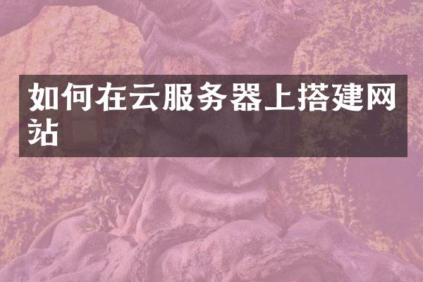 如何在云服务器上搭建网站