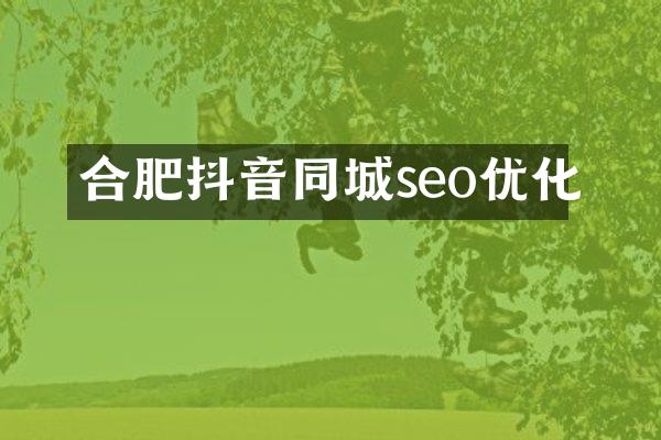 合肥抖音同城seo优化