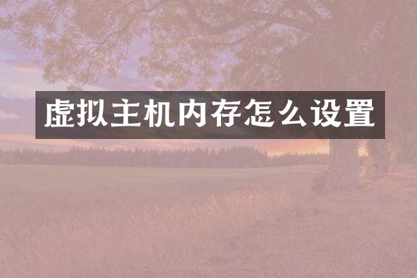 虚拟主机内存怎么设置
