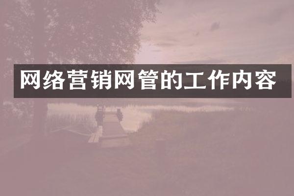 网络营销网管的工作内容