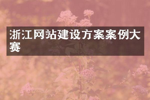 浙江网站建设方案案例大赛