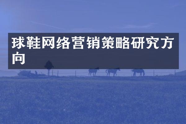 球鞋网络营销策略研究方向