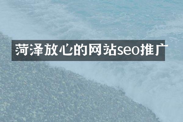 菏泽放心的网站seo推广