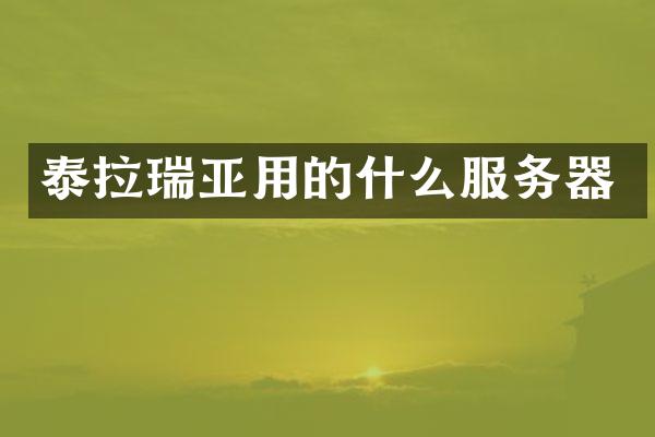 泰拉瑞亚用的什么服务器