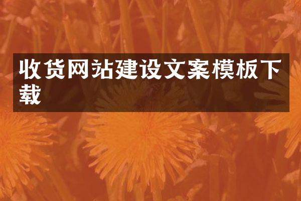 收货网站建设文案模板下载