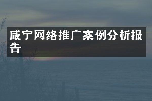 咸宁网络推广案例分析报告
