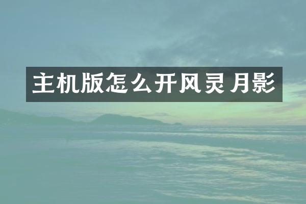 主机版怎么开风灵月影
