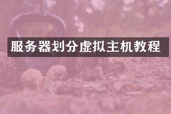 服务器划分虚拟主机教程