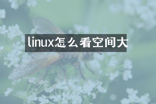 linux怎么看空间大