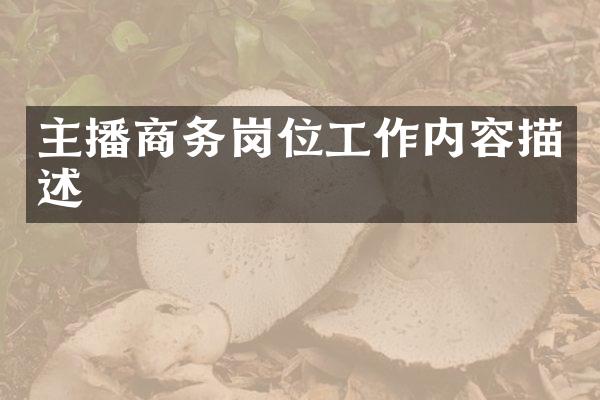 主播商务岗位工作内容描述