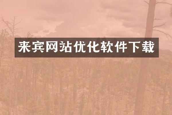 来宾网站优化软件下载
