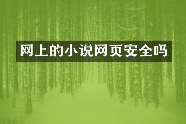 网上的小说网页安全吗