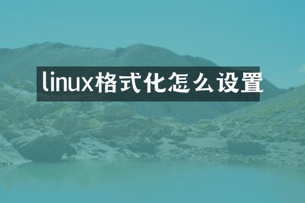 linux格式化怎么设置
