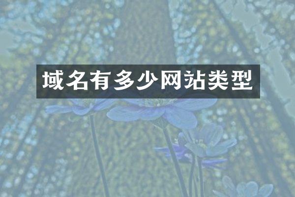 域名有多少网站类型