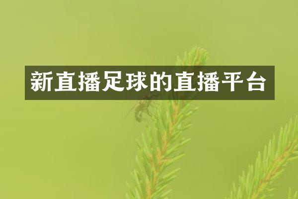 新直播足球的直播平台