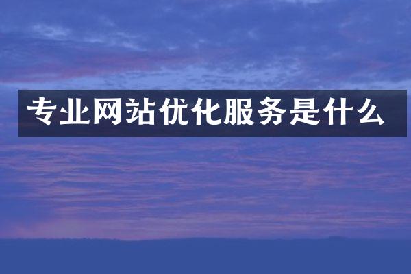 专业网站优化服务是什么