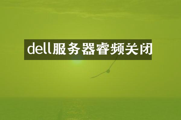 dell服务器睿频关闭