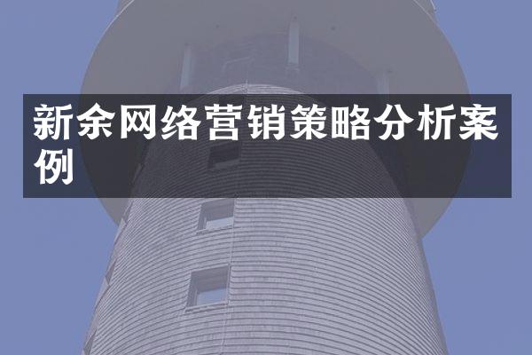 新余网络营销策略分析案例