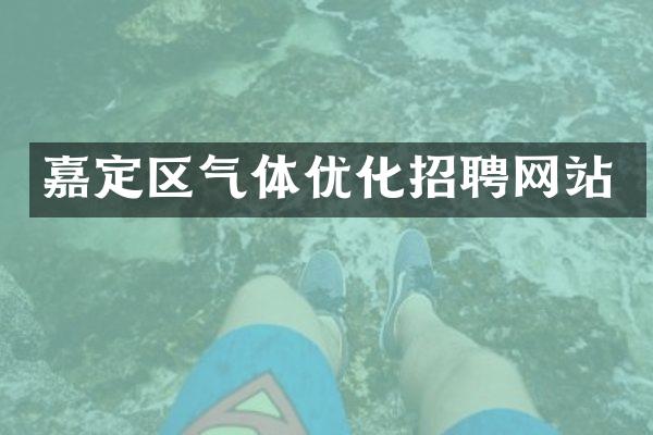 嘉定区气体优化招聘网站