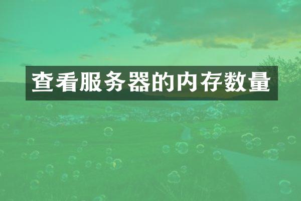 查看服务器的内存数量