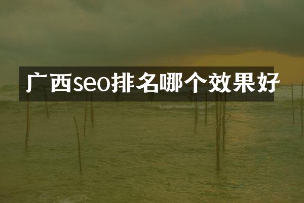 广西seo排名哪个效果好
