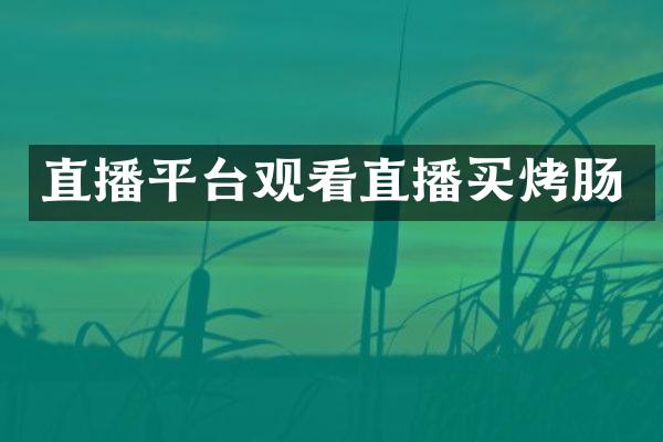 直播平台观看直播买烤肠