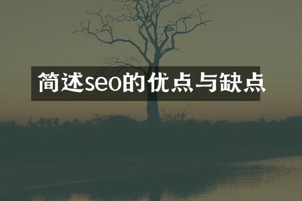 简述seo的优点与缺点