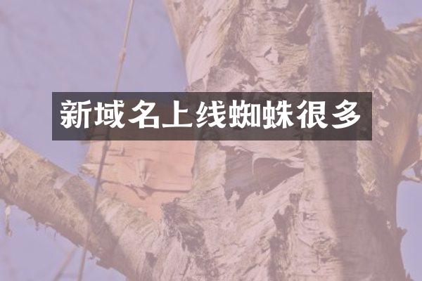 新域名上线蜘蛛很多