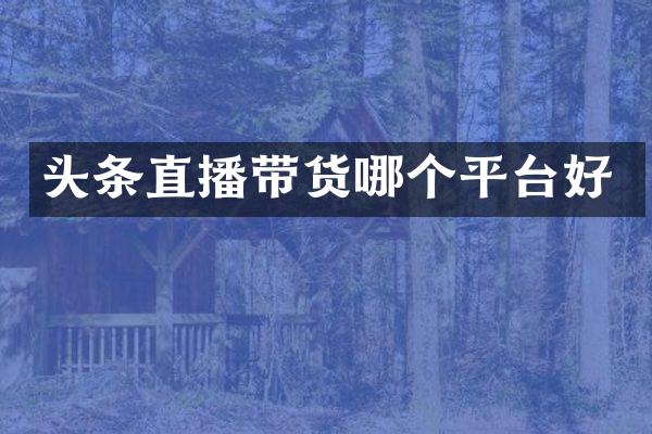 头条直播带货哪个平台好